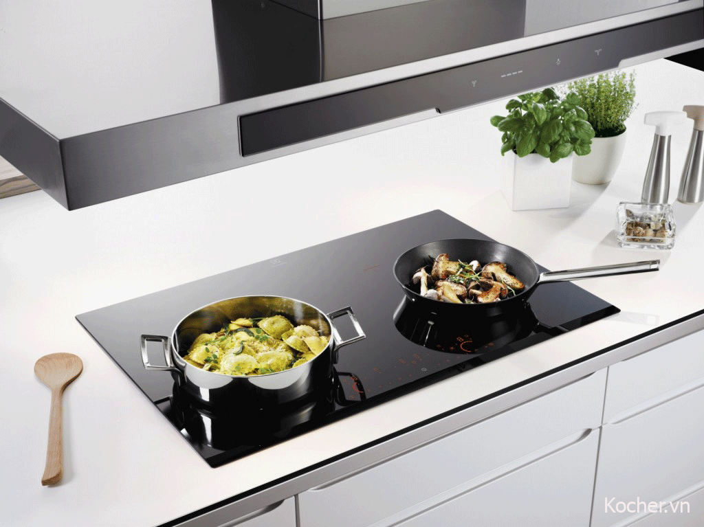 Đánh giá bếp từ loại nào tốt qua nguồn gốc