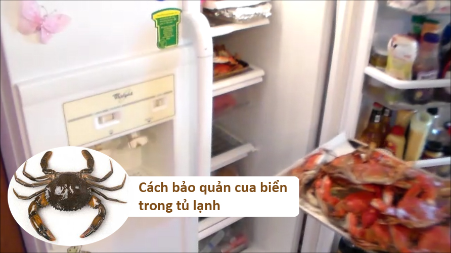 cách bảo quản cua biển trong tủ lạnh