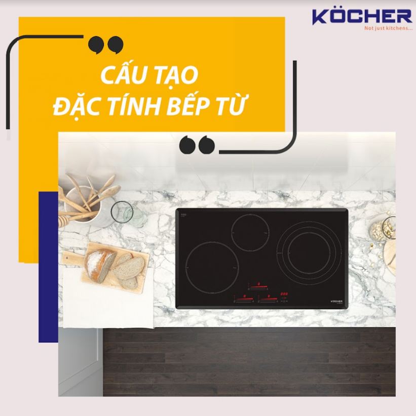 Nấu ăn bằng bếp từ có hại cho sức khỏe không?