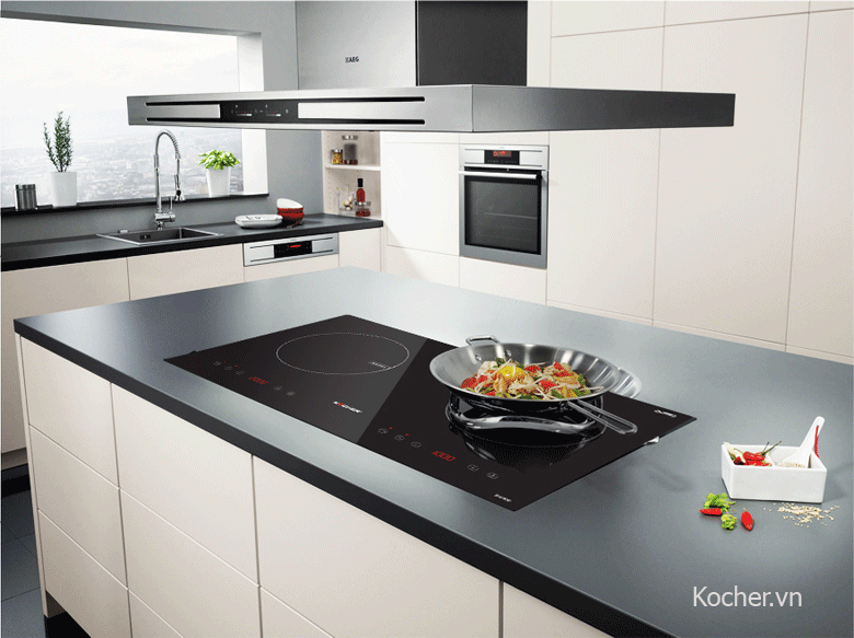 bep-tu-viet-nam-2 Bếp từ Việt Nam-1