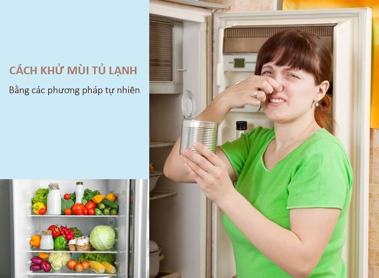 cách khử mùi tủ lạnh lâu ngày không dùng