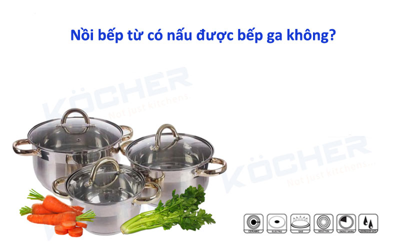 Nồi bếp từ có nấu được bếp ga không?