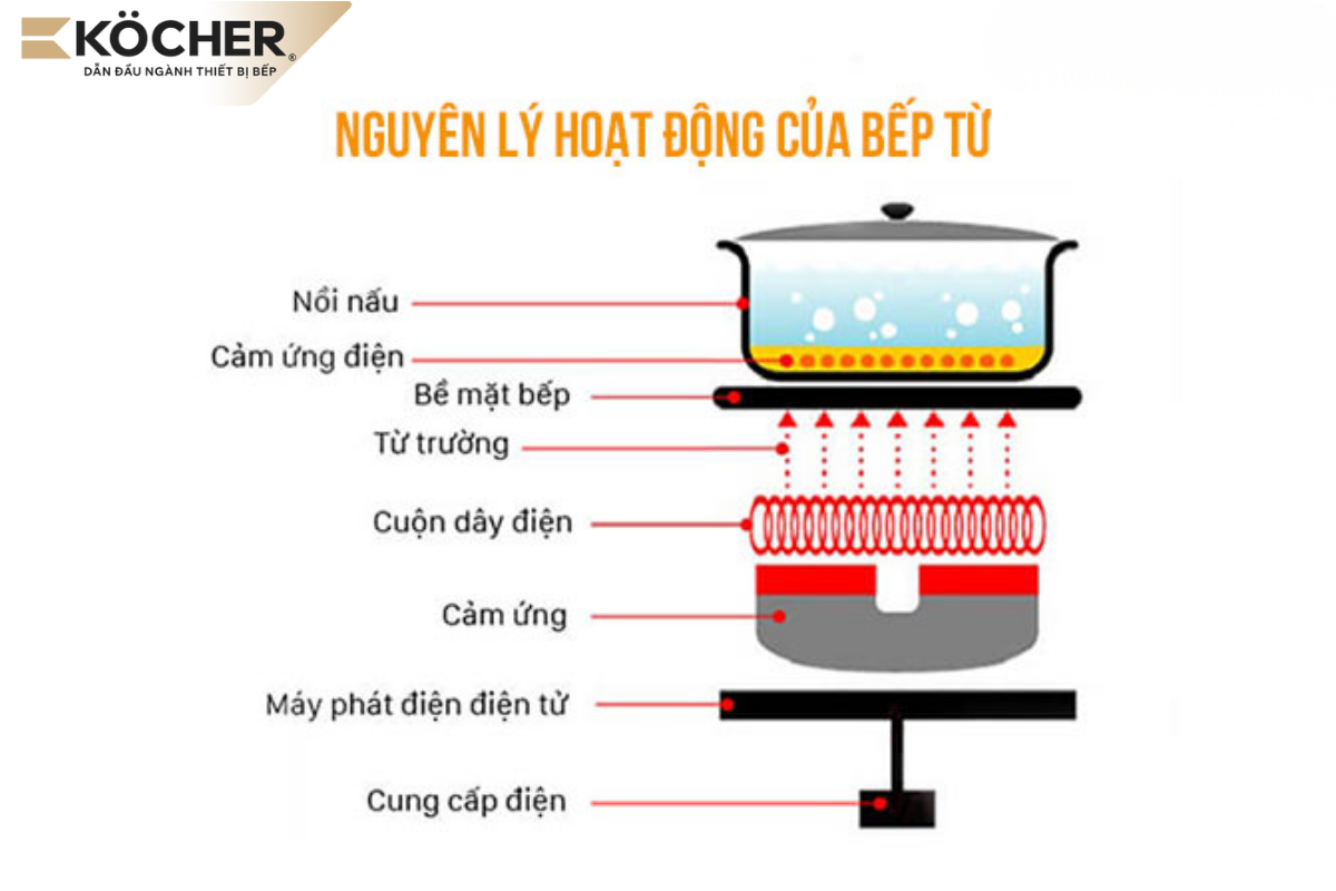 Bếp từ chỉ sinh nhiệt khi đặt nồi có đáy bắt từ lên mặt bếp.