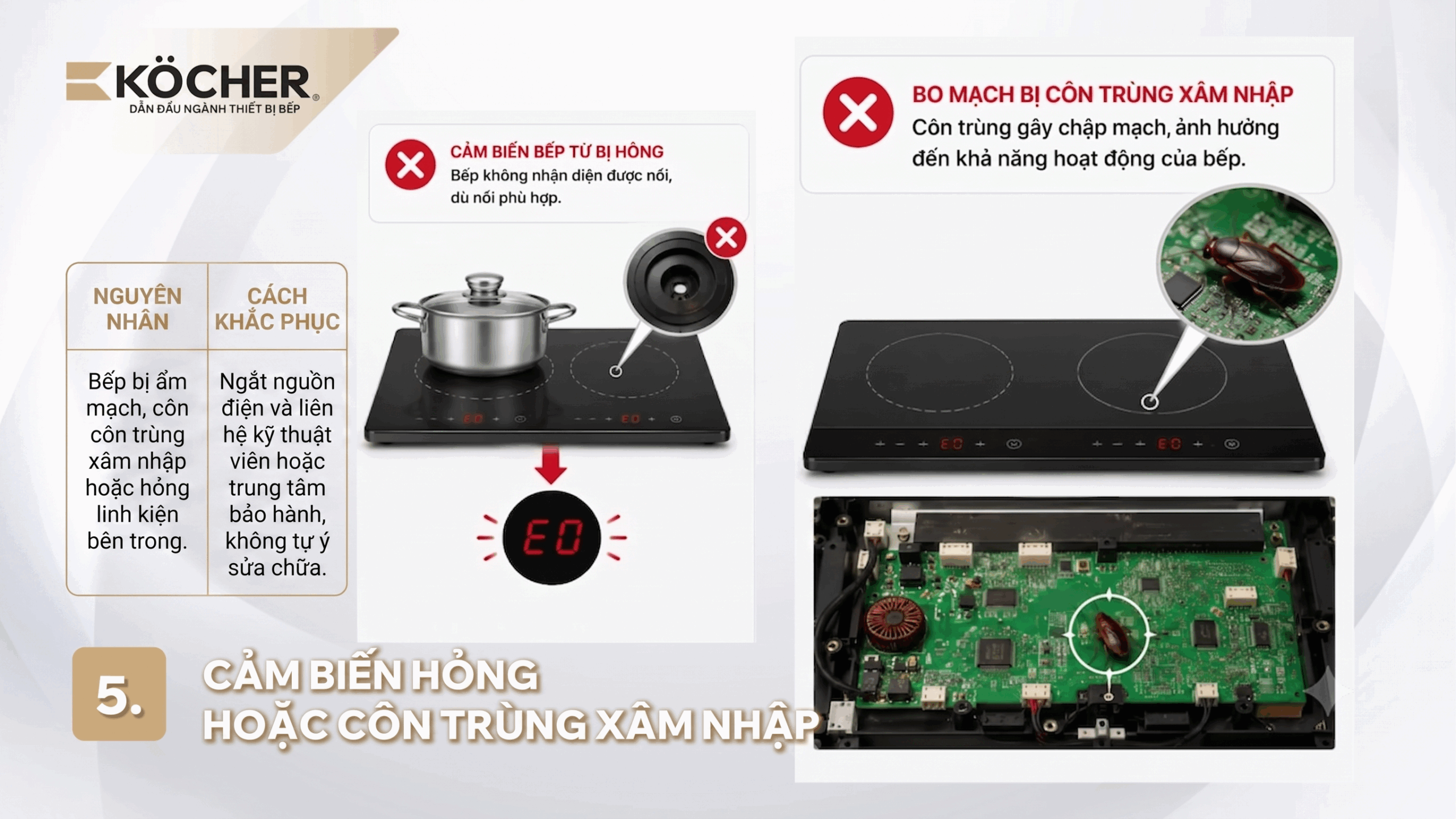 Côn trùng xâm nhập gây chạm chập linh kiện bên trong có thể gây lỗi E0 bếp từ. (Ảnh minh hoạ)