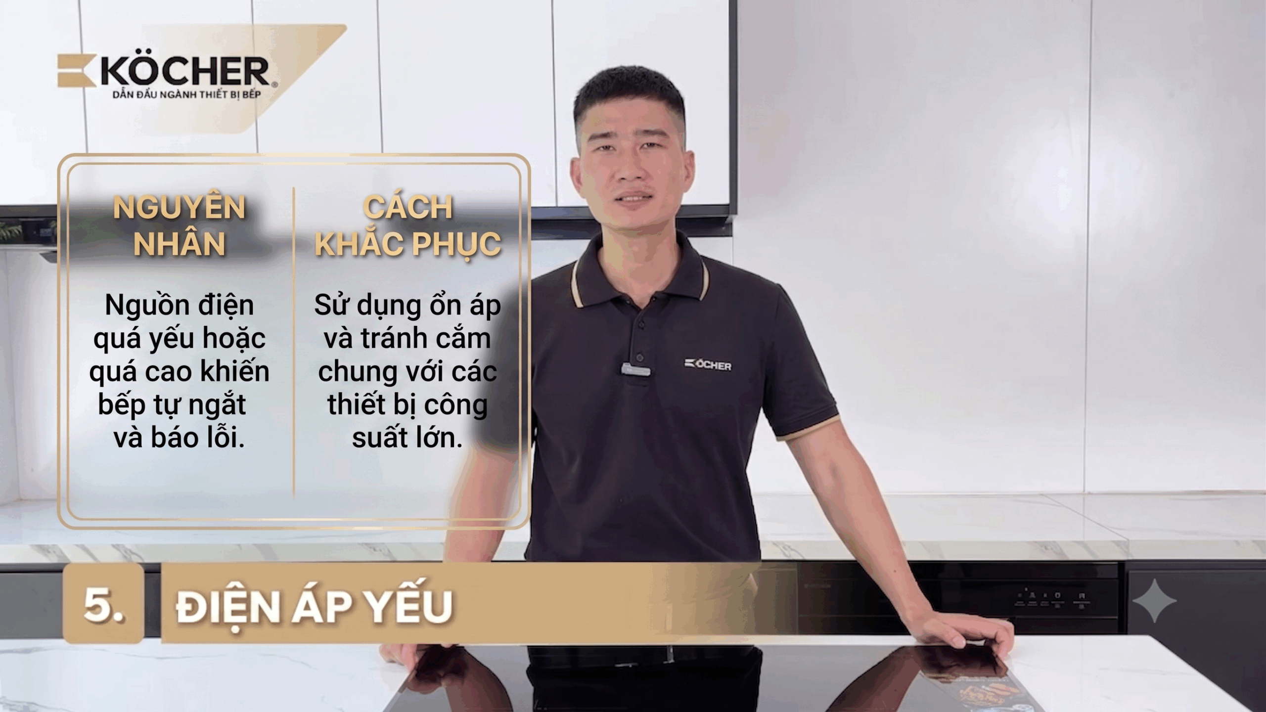 Côn trùng xâm nhập gây chạm chập linh kiện bên trong có thể gây lỗi E0 bếp từ. (Ảnh minh hoạ)