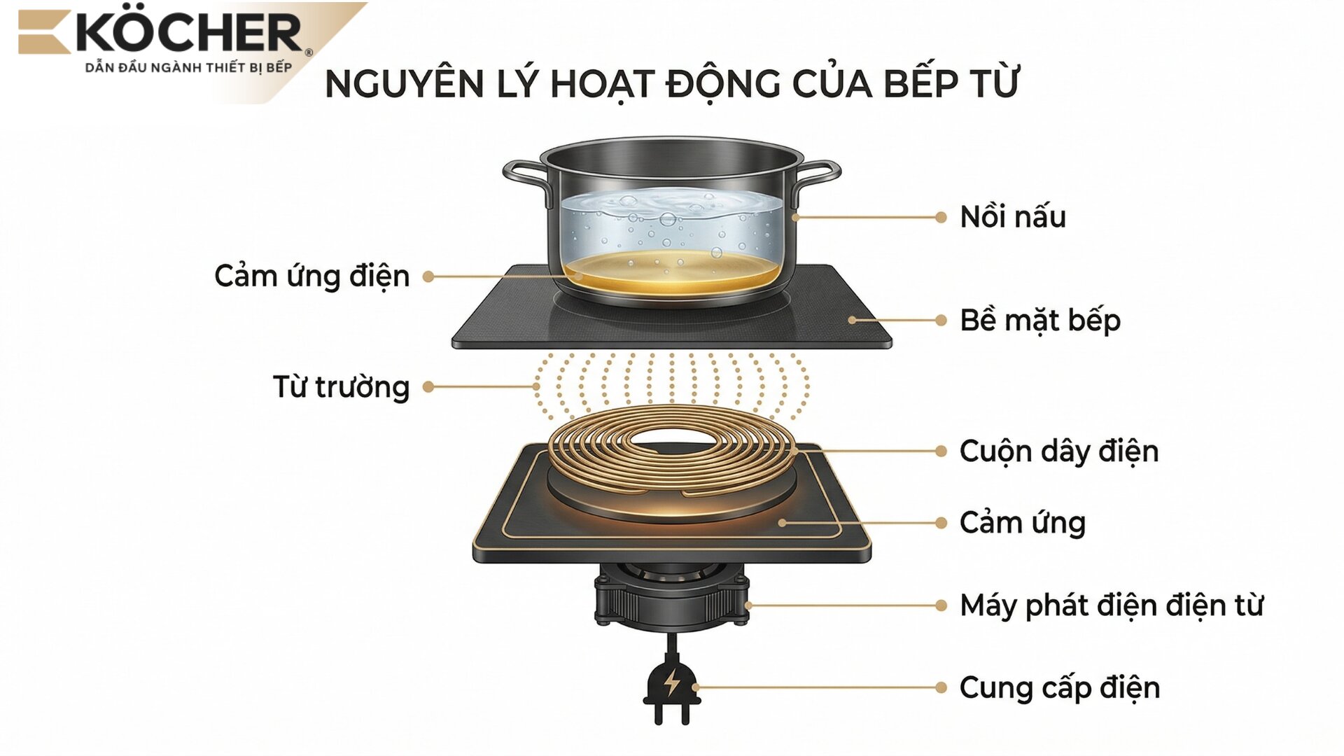 Minh hoạ nguyên lý hoạt động của bếp từ