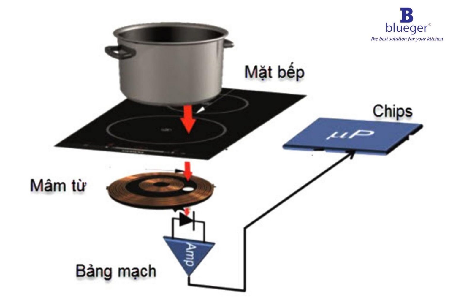 sơ đồ cấu tạo của bếp điện