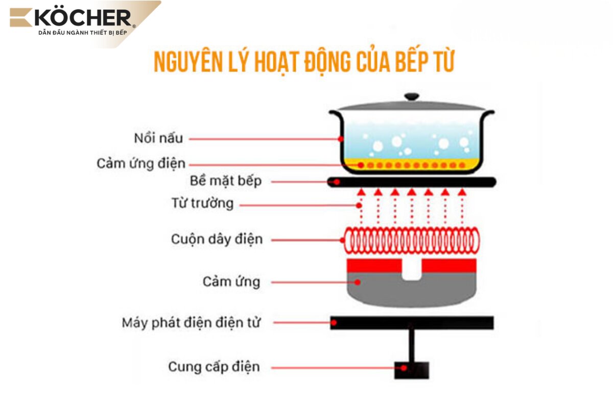 Bếp từ hoạt động theo nguyên lý cảm ứng điện từ.