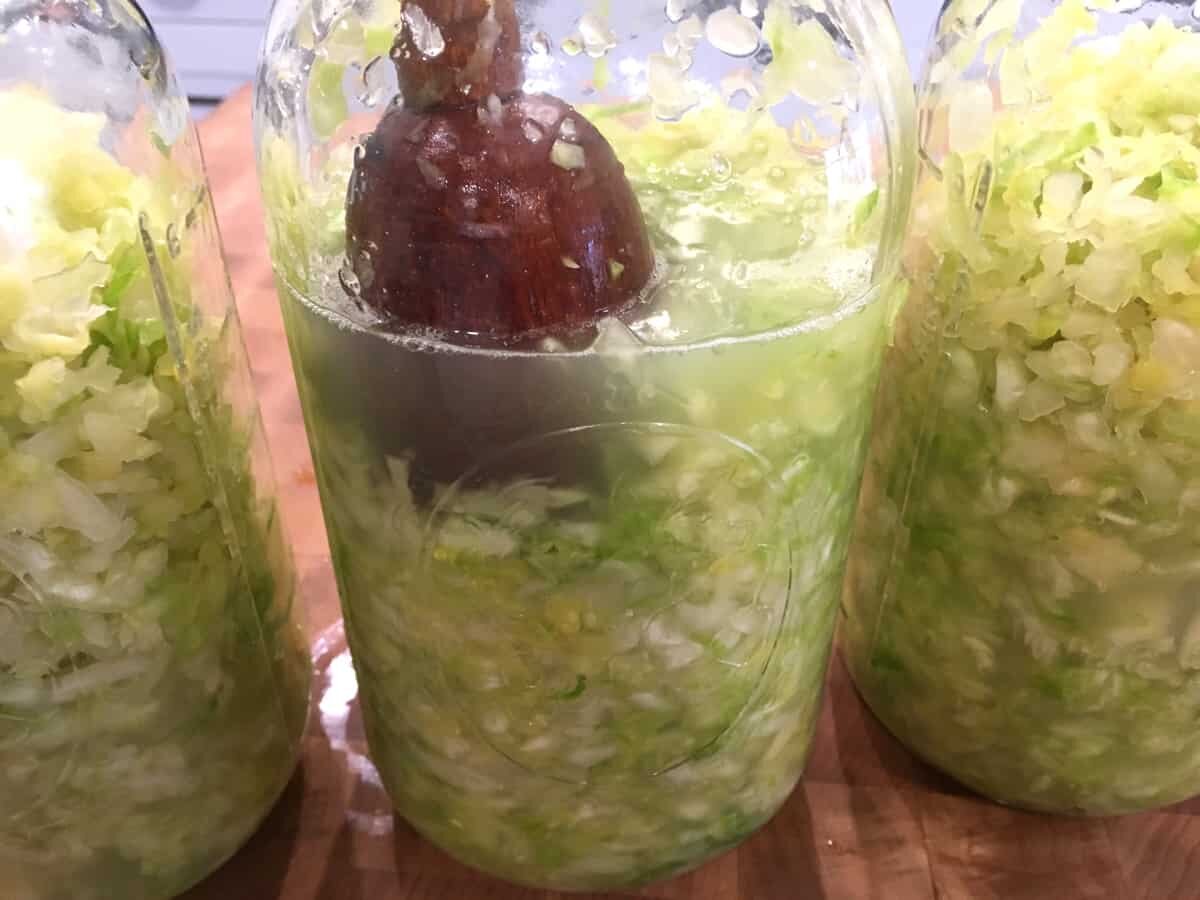 Mixing salt and kneading the cabbage. (Source: daringgourmet.com)