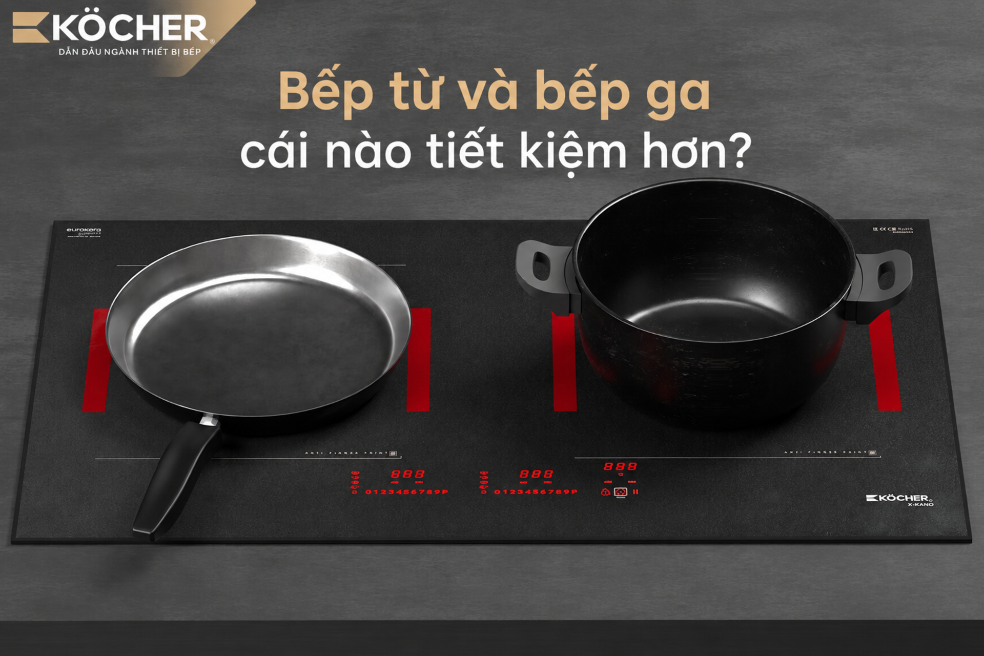 Bếp từ và bếp gas: Bếp nào tiết kiệm điện hơn